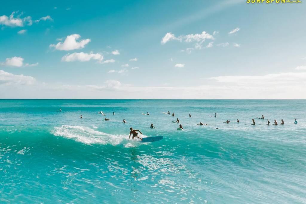 B-Rent Bristol Beach Surf & Fun Corralejo Extérieur photo